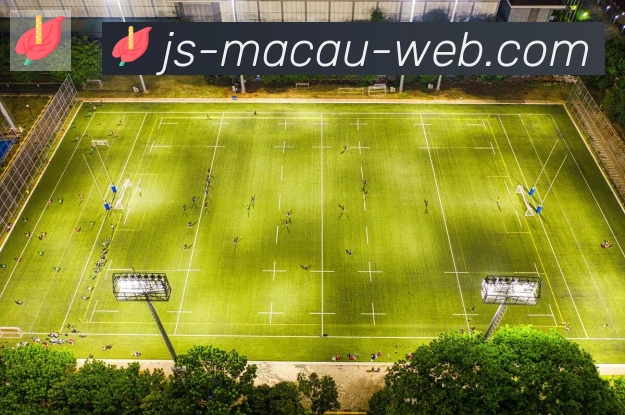 金沙娱乐城APP 封面图