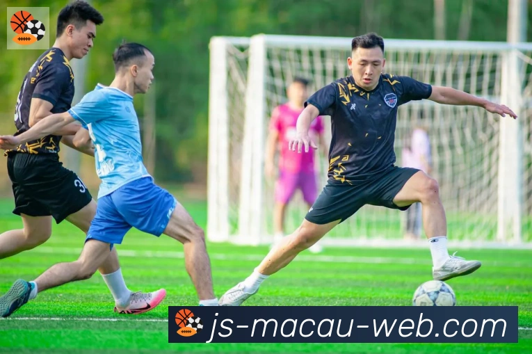 金沙娱乐城荣誉