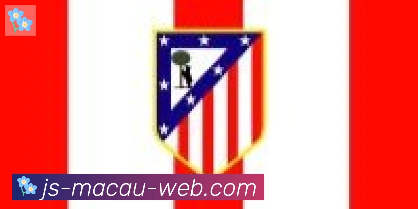 金沙娱乐城合作伙伴