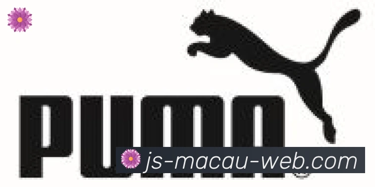 金沙娱乐城合作伙伴